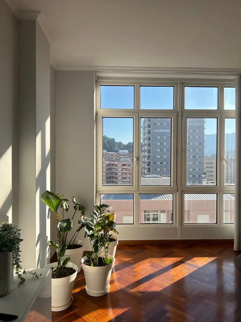 Bright apartment with plants by the window